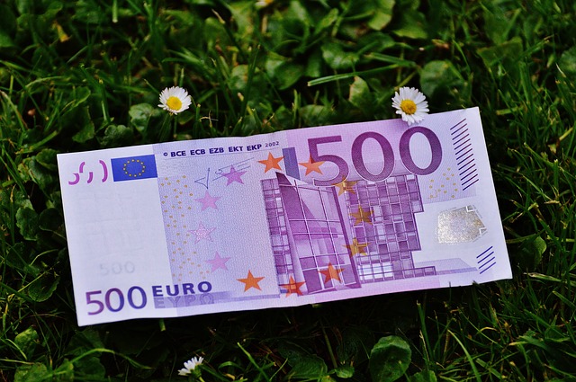 bankovka v trávě